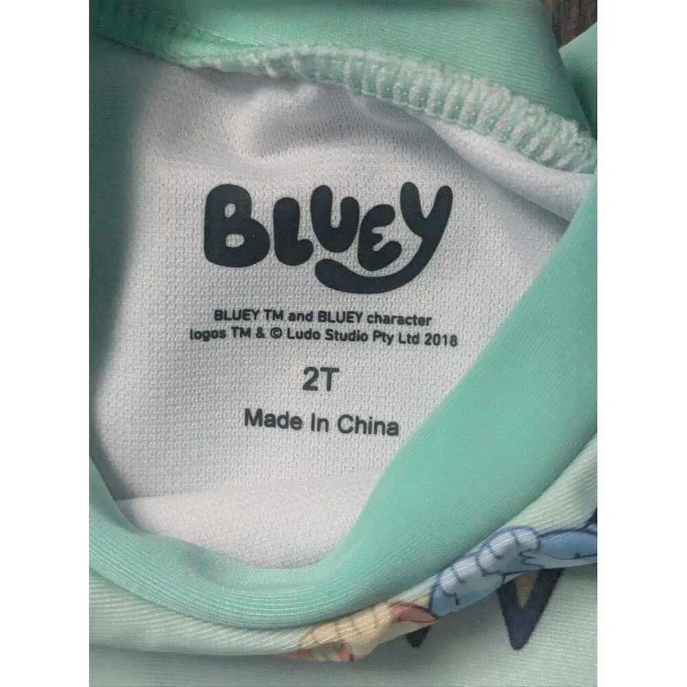 Bluey Two Piece Toddler Swim Suit Size 2T